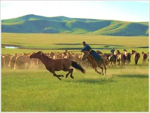 Mongolian Children Start Learning Horse Riding at Three